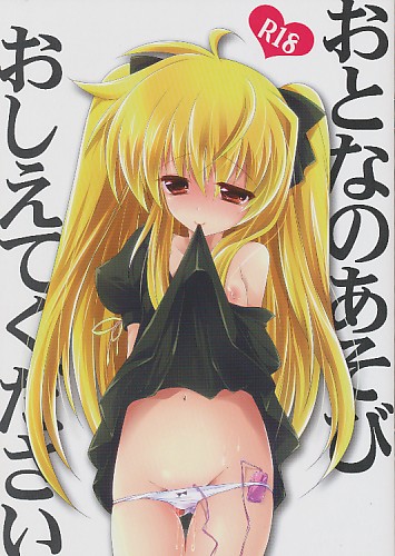 おとなのあそび おしえてください