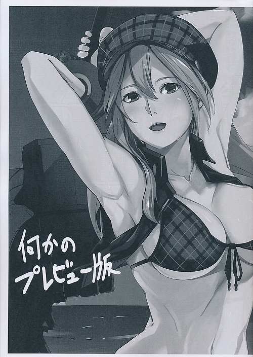 何かのプレビュー版