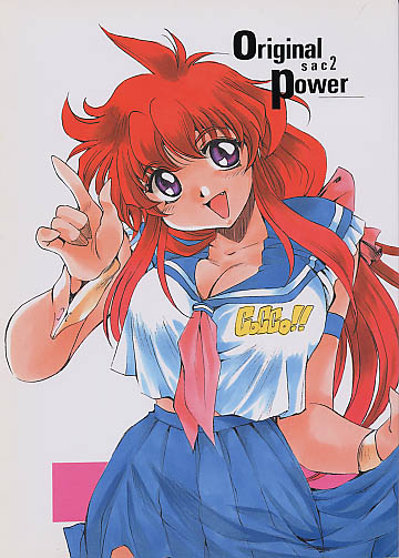 Original Power sac2