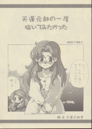 天蓬元帥の一度描いてみたかった