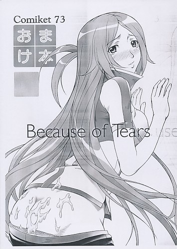 Comiket73 おまけ本 Because of Tears