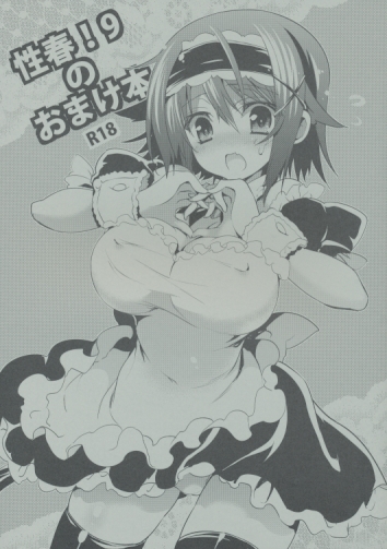 性春 9 のおまけ本。