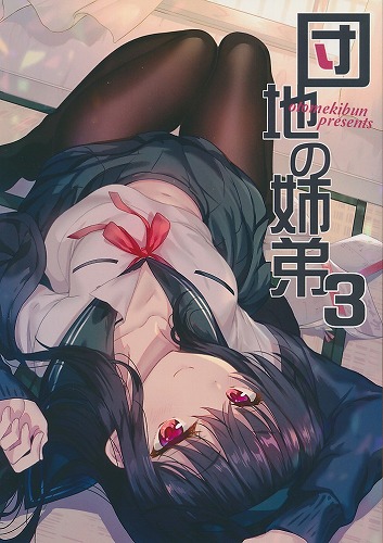 団地の姉弟 3
