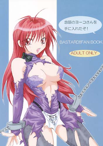 念願のヨーコさんを手に入れたぞ!