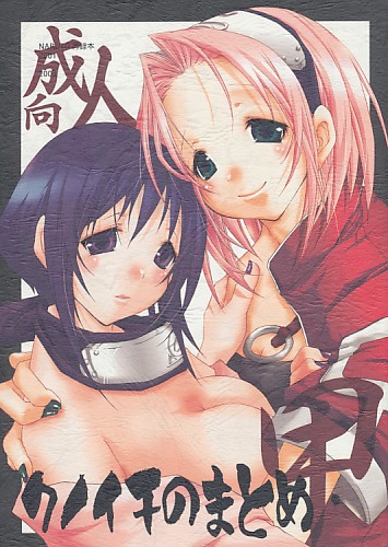 クノイチのまとめ・甲