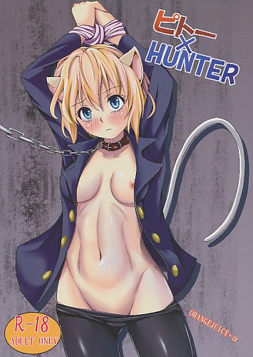 ピトー×HUNTER