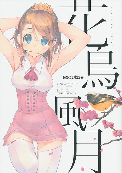 esquisse 花鳥風月