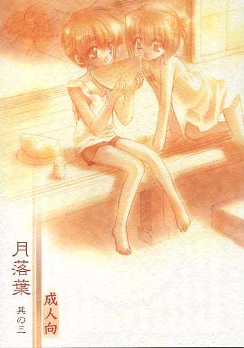 月落葉 其の三