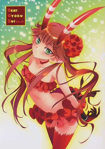 BENIGYOKUZUI VOL.30
