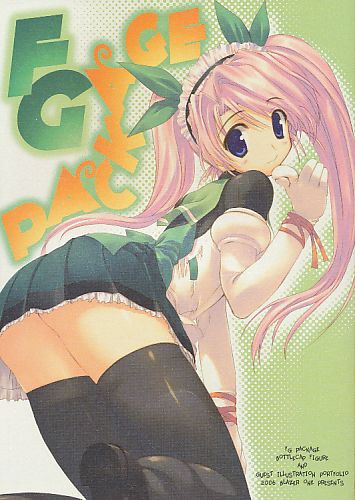 FG PACKAGE