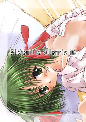 Alchemilla Vulgaris NC