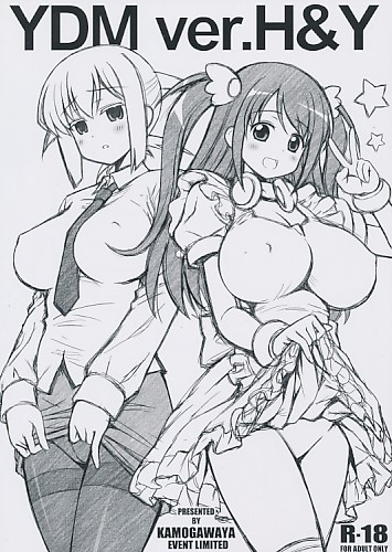 ＹＤＭ ver.H&Y