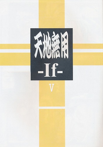 天地無用 -If- V