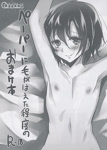 ペーパーに毛がはえた程度のおまけ本