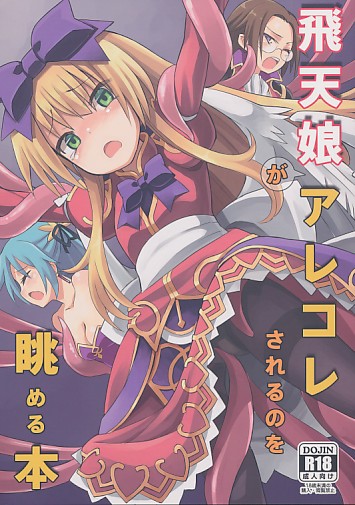 飛天娘がアレコレされるのを眺める本