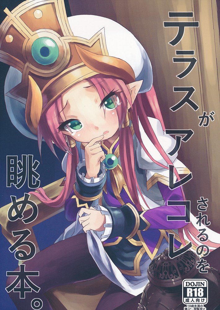 テラスがアレコレされるのを眺める本。