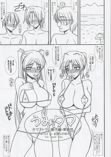 うみタマ タマネトラレ番外編・準備号