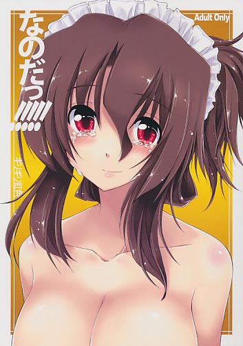 なのだっ!!!!! (5)