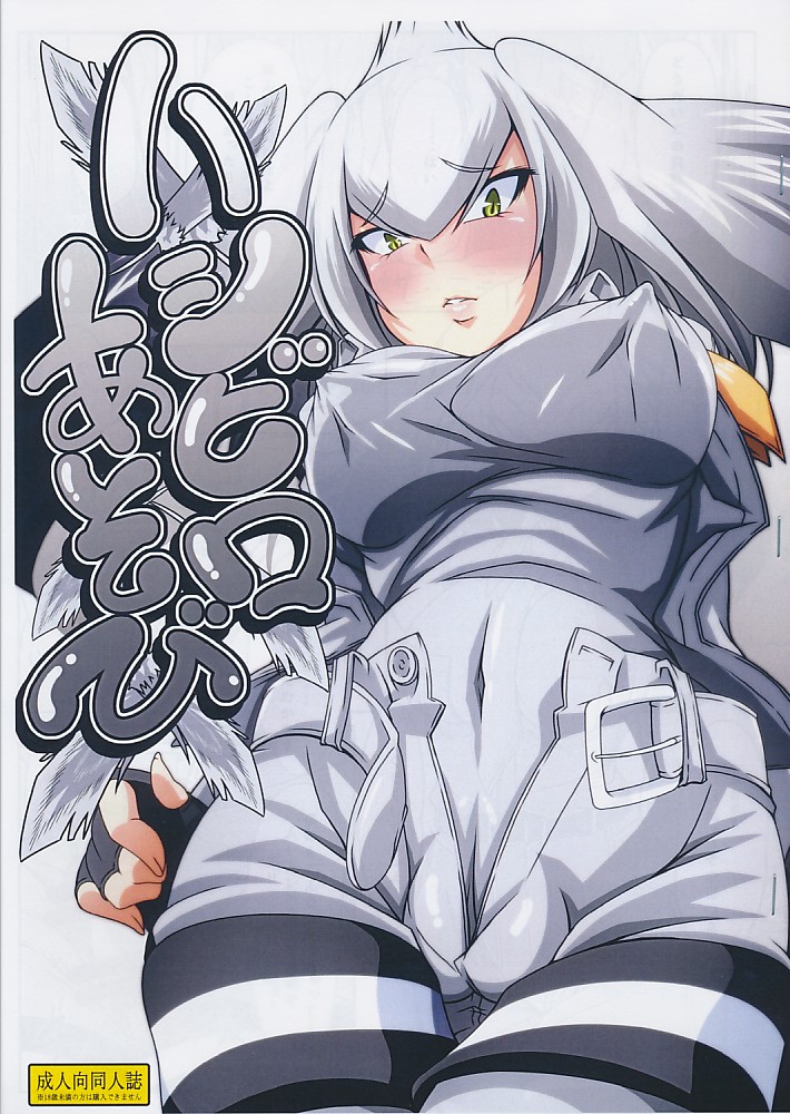 ハシビロあそび