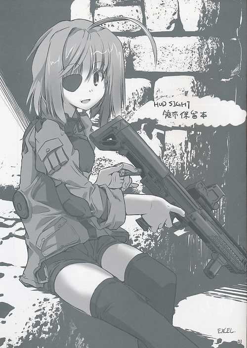 HUD SIGHT 頒布保留本