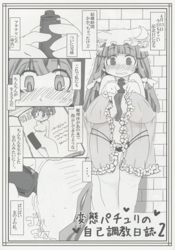 変態パチュリの自己調教日誌2