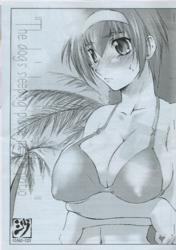 The dogs sleeping  place in the patio