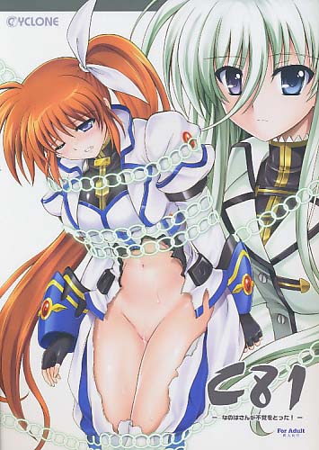 C81 -なのはさんが不覚をとった!-