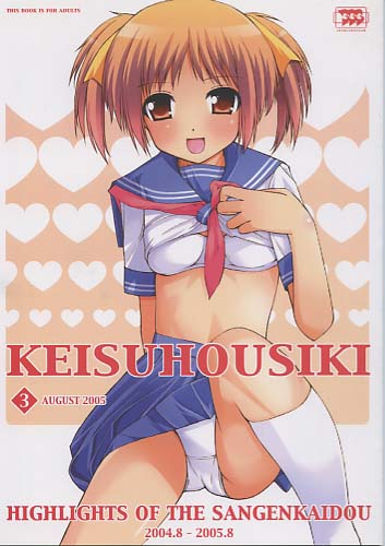 KEISUHOUSIKI 3