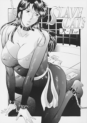 SLAVE CAT's I (初版)