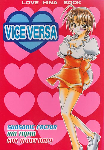 VISEVERSA