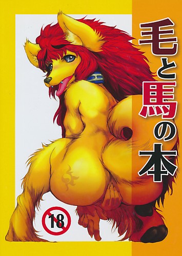 毛と馬の本