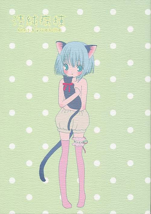 清純病棟 桐原小鳥単行本解説本