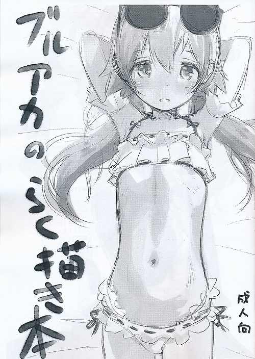 ブルアカのらく描き本