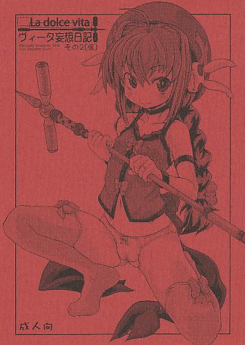ヴィータ妄想日記。その2（仮）※表紙色違いあり