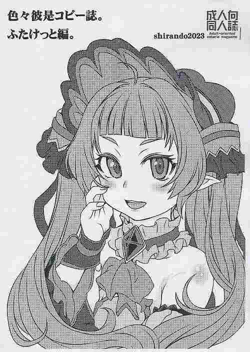 色々彼是コピー誌。ふたけっと編。