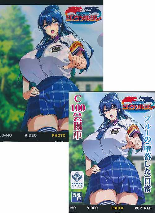 A4ｸﾘｱﾌｧｲﾙ付）ブルーの(堕落した)日常 C100会場本