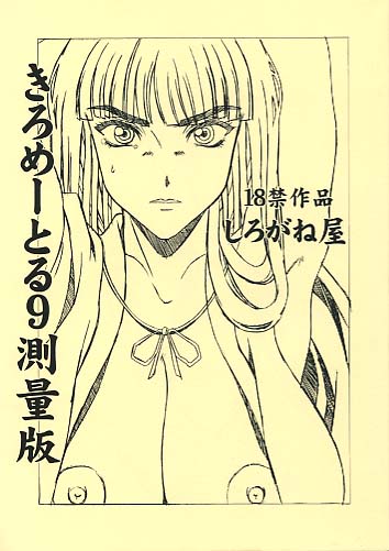 きろめーとる 9測量版