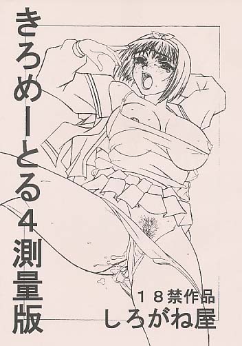 きろめーとる 4 測量版