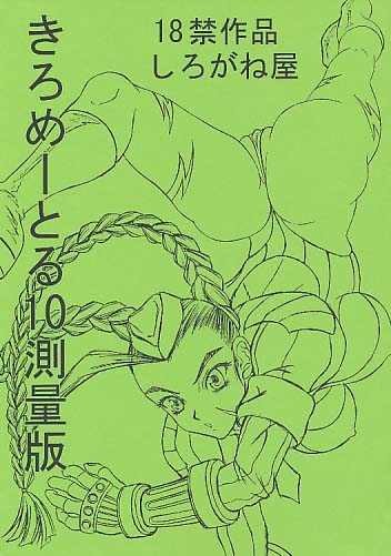 きろめーとる 10 測量版