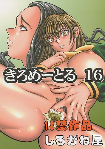 きろめーとる 16