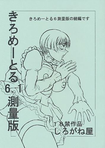 きろめーとる 6.1 測量版