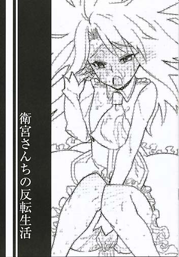 衛宮さんちの反転生活