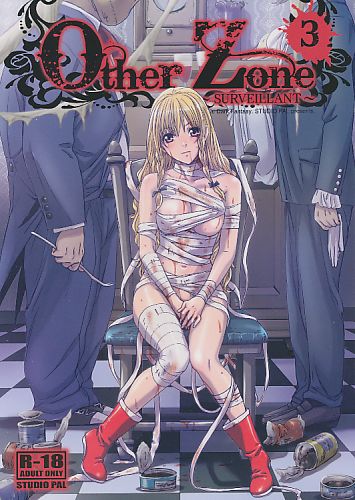 Other Zone 3 ~SURVEILLANT~