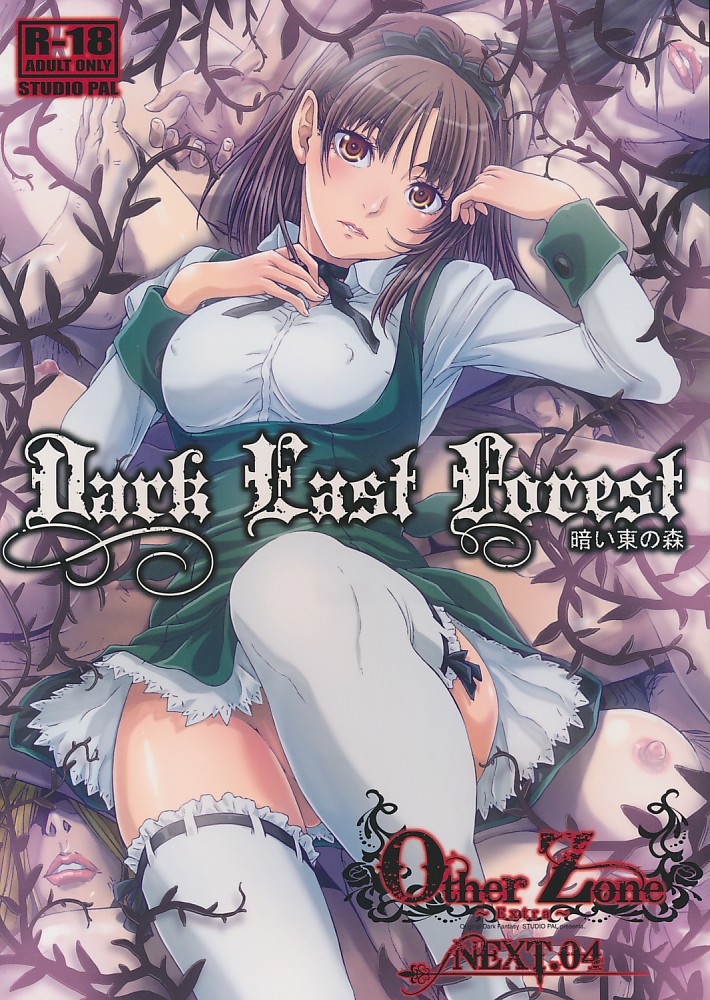 Dark East Forest 暗い東の森 Other Zone Next 04
