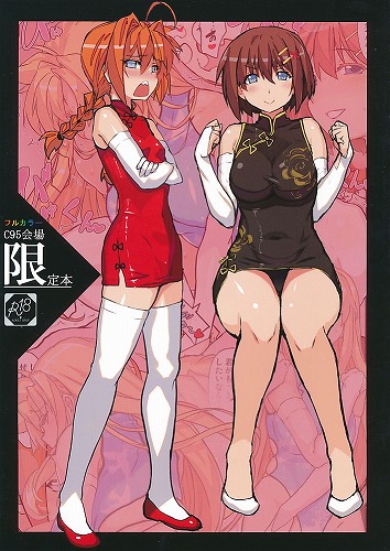 フルカラーC95会場限定本