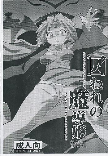 囚われの魔導姫 暫定本2