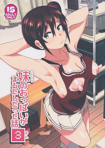 妹のおっぱいがまるだしだった話 3