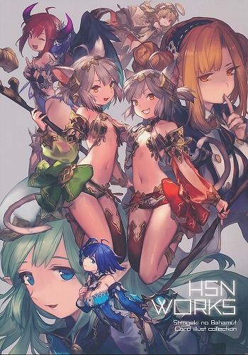 HSN WORKS