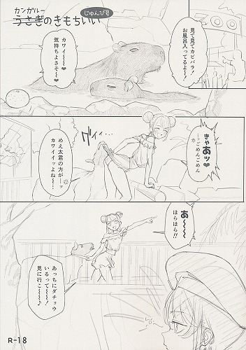 カンガルーのきもちいい じゅんび号
