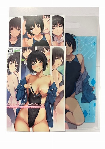 C105・3点セット(2019-2023 N-Collection + 2019-2023 N-illustration + クリアファイルバッグ)